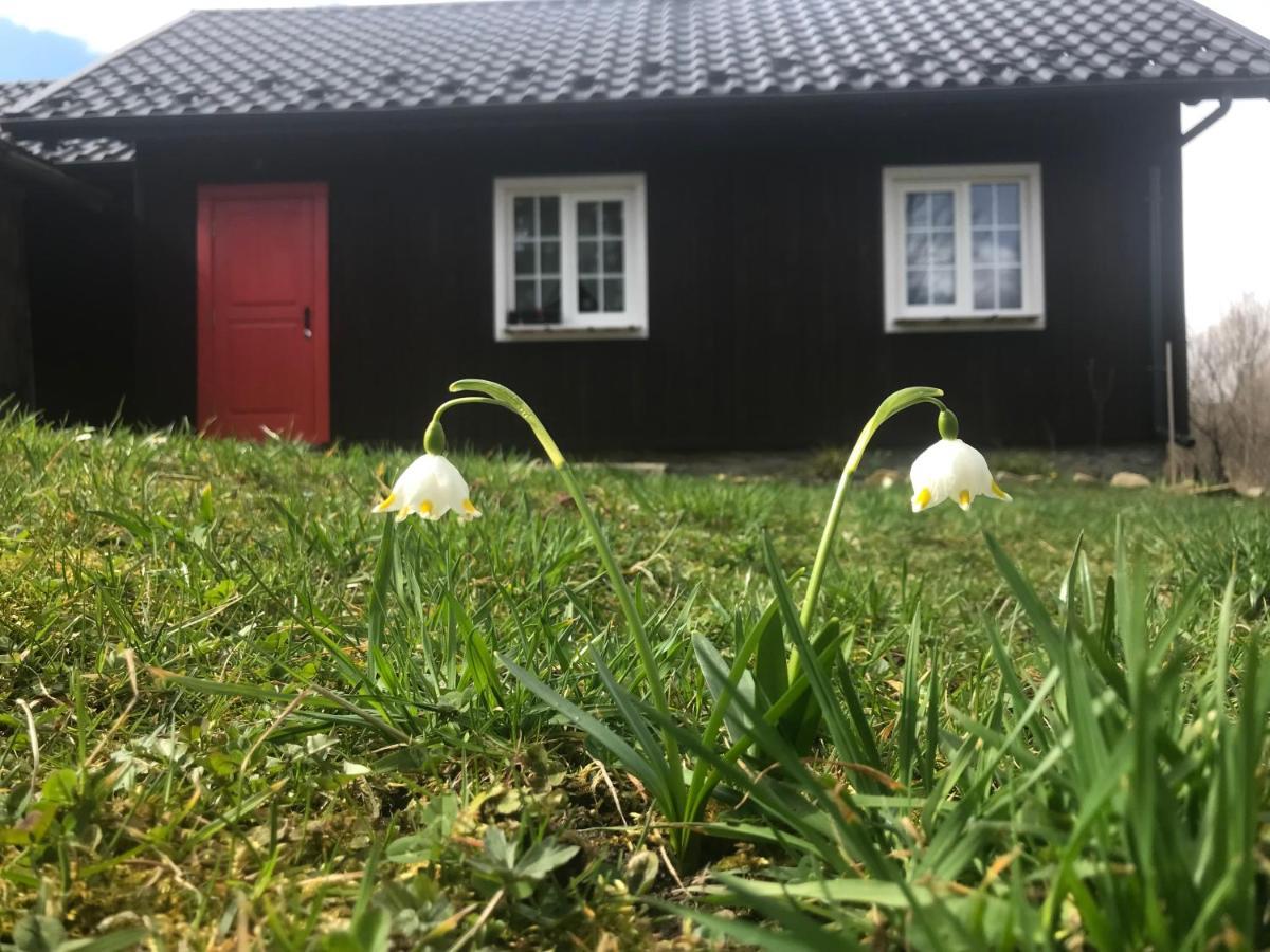 Holiday home злата хата Urych